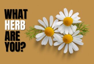 What Herb Are You? Quiz